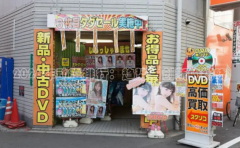 18+动漫